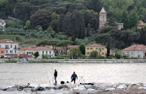 plumbago blue - Foto 16