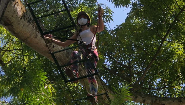 Zip-line, Suspension Bridge + Abseiling in Útica - Foto 5