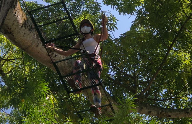 Zip-line, Suspension Bridge + Abseiling in Útica - Photo 5