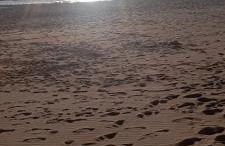 Ristel Casa Vacanza - Foto 12