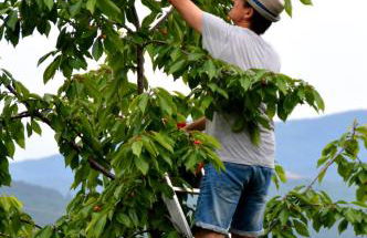 domaine des tilleuls d'or - Foto 39