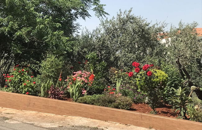 Nahla apartments - Foto 35