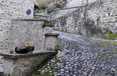 Il Gallo d' Oro - Scoiattolo - Foto 23