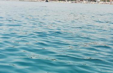 L' Agrumeto - Photo 48