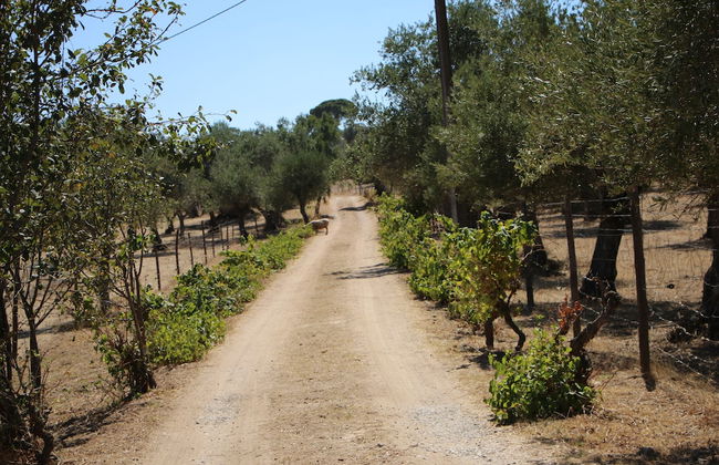 Casa das Moles - Foto 18