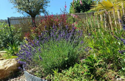 Apb Spa locations avec jacuzzi privatif - Foto 48