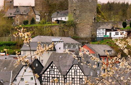 Ferienwohnung Eifel-Life - Photo 33