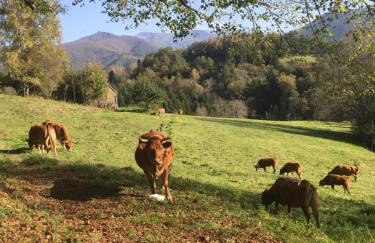 LaGrange-Ariege c - Foto 17