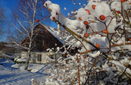 Dom Geologa - Foto 24