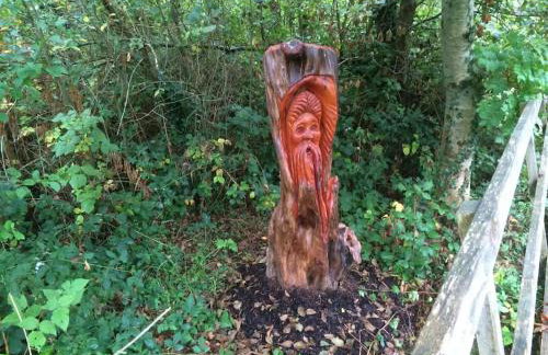 Fermanagh lakeside Self Catering - Foto 15