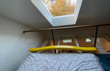 Deichgraf Emden - Foto 21