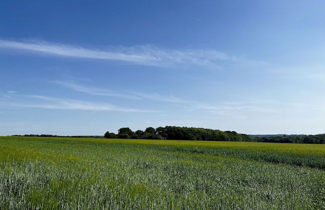 The Crooked Gate - Luxury Romantic Getaway - Foto 79