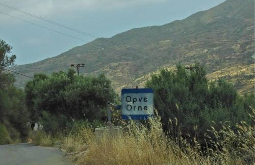 Serene, slow living house - Foto 29