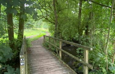 FeWo Skywalk Willingen - Foto 39
