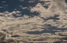 Sunny Blue Apartament - Foto 21