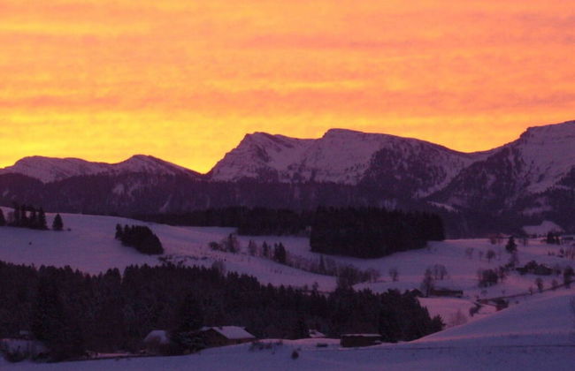 Holiday Apartment Hildegard Birds - Foto 15