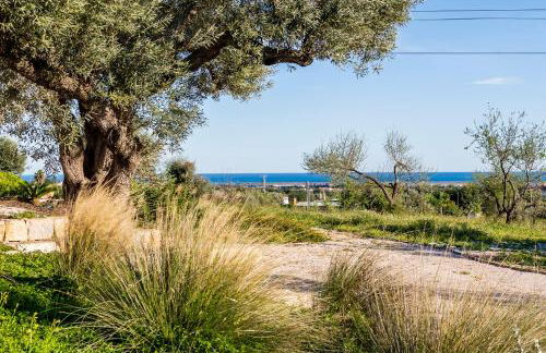 Quinta da Baleeira - Foto 136