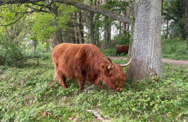 The Saddlery Barn Retreat - Foto 13