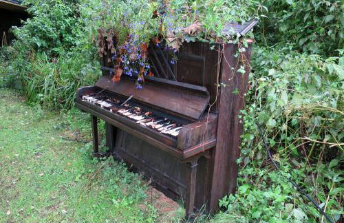 Bird House - Sleep with the Owls! - Foto 20