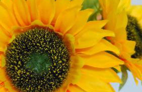 Casa Luna y Sol - Foto 24