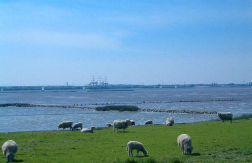 Modernes-Wohnen-im-Bungalow - Foto 15