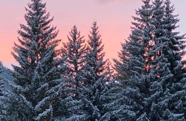 Calore di una Casa di Montagna - Foto 32
