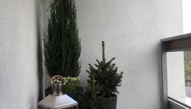 Apartament Kolska - Foto 5