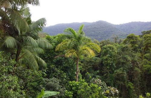 Praias Ubatuba SP - Foto 19