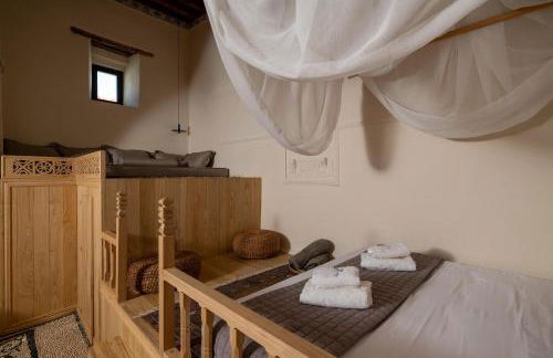 Lindian Plumeria - Photo 9