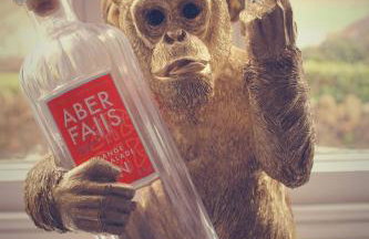 The Old Court House & Jail - Photo 17