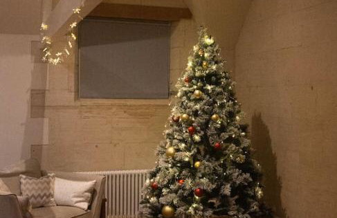 The Old Library - Foto 14