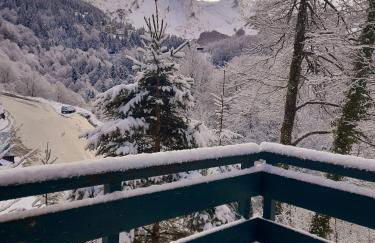ISKÖ CHALETS-HÖTEL, Col d'Aubisque - Foto 54