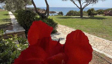 Villa Belvedere - Foto 4