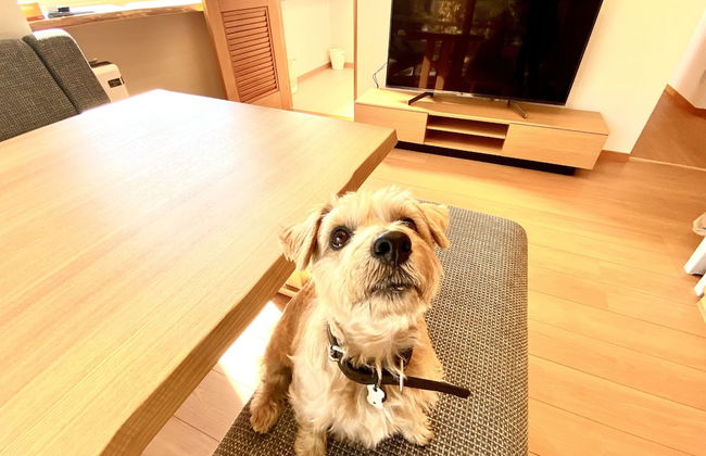 Hakuba Powder Mountain - Foto 67