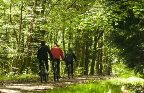 Appartement lumineux 4* pour 2 à Vittel, proche thermes, WiFi, parking gratuit - FR-1-589-745 - Foto 7