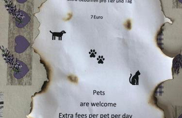 Ferienwohnung Im Bachgrund - Foto 18