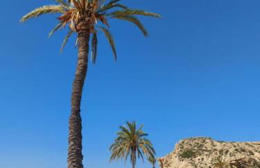 Sunny, spacious 3 bedroom apartment with seaview - L1 Red line stop PARADIS 2 min walk from rental - Photo 16