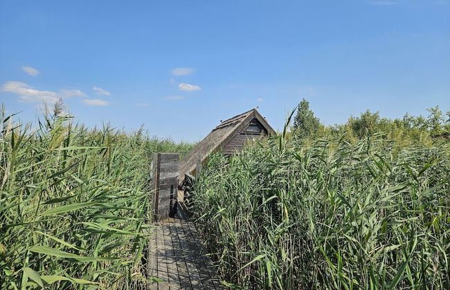 Mountains&Lakes - Romantika5 Rust - Foto 15