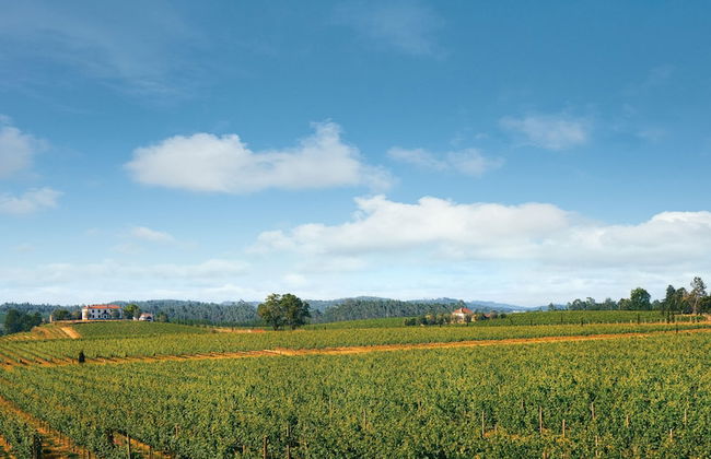 TERRA ROSA COUNTRY HOUSE & VINEYARDS - Foto 77