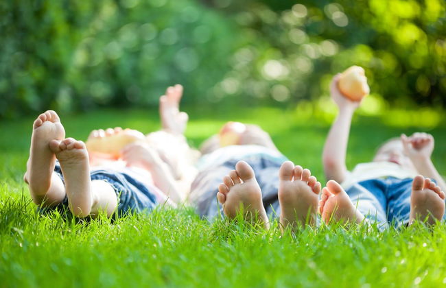 Peppermint Brook Cottages - Foto 9