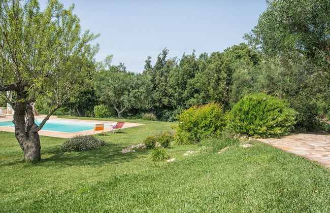 Trullo Petrelli - Foto 22