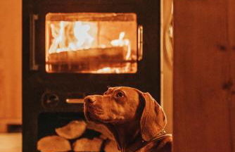 Landhaus einer Malerin - Foto 7