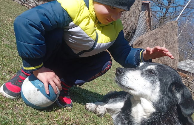 Room in Guest Room - Cozy Rural Retreat in Roşia Montana - Photo 48