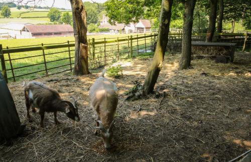 Upper Home Farm - Foto 80