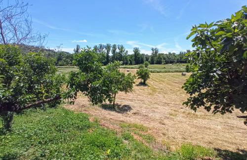 O Val de Vilaboa - Foto 38