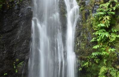 Fontinha Terrace View House - Foto 41