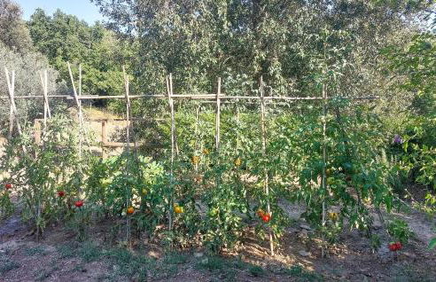 Il Terrazzo - Foto 22