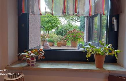 Ferienwohnung Zum Weinberg bis 4 Personen - Im Herzen der Pfalz - Foto 27