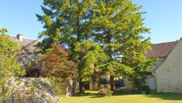 TRUITE FARIO, FISH AND GITES - Foto 3