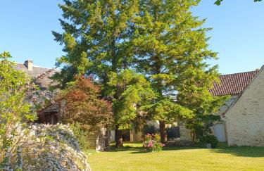 TRUITE FARIO, FISH AND GITES - Foto 3